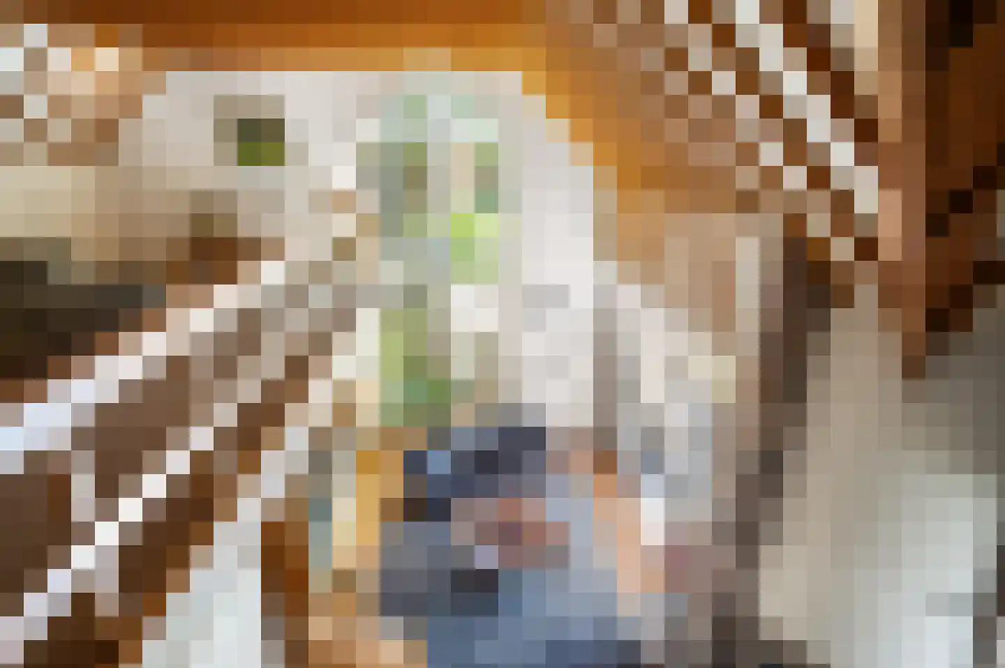 Beukenlaan 8 Oudemirdum thumbnail 64