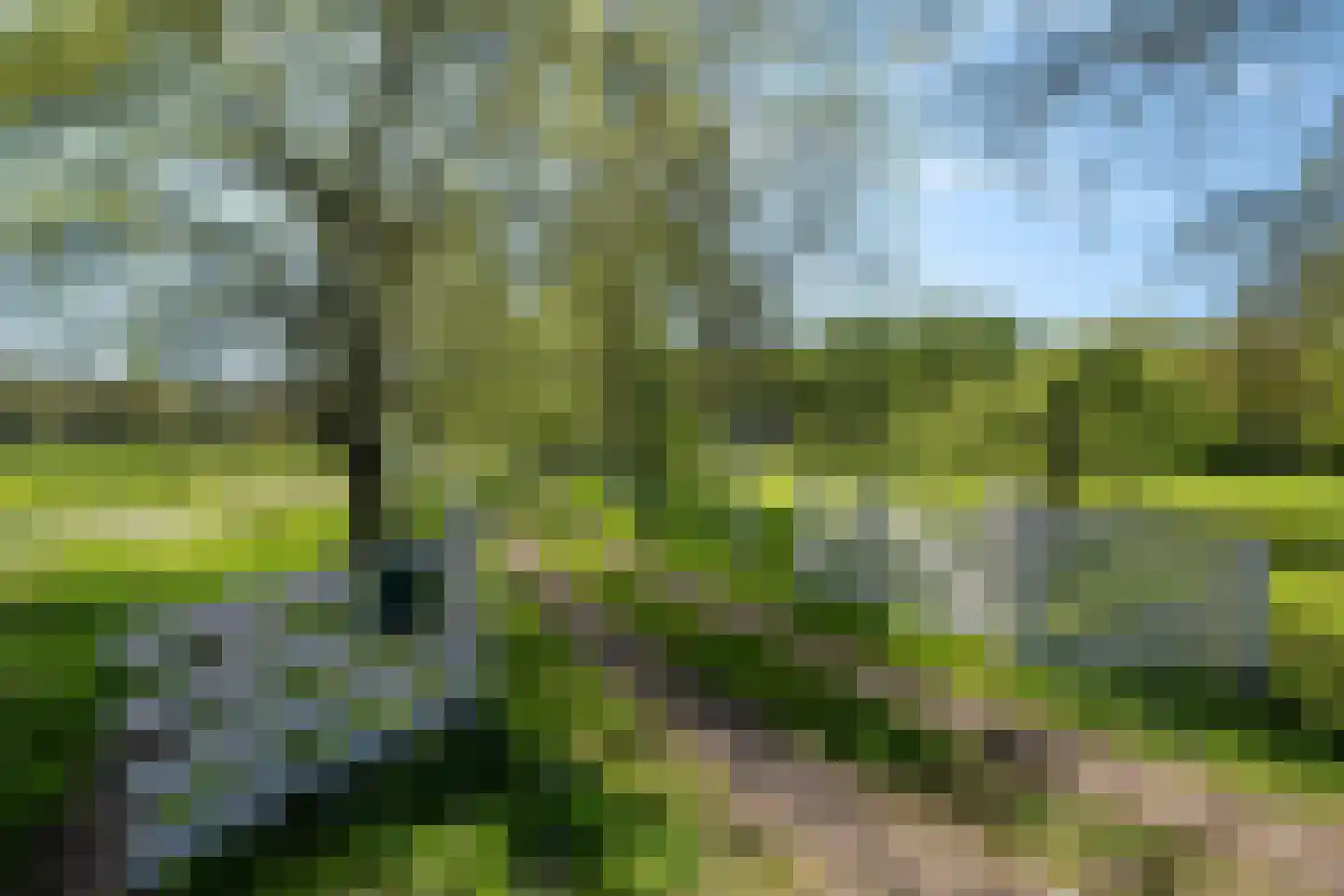 Beukenlaan 8 Oudemirdum thumbnail 7