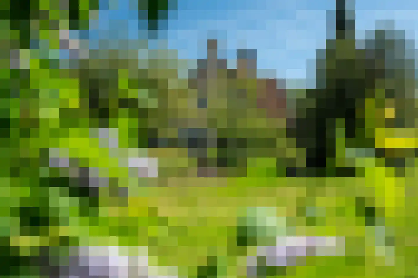 Beukenlaan 8 Oudemirdum thumbnail 79