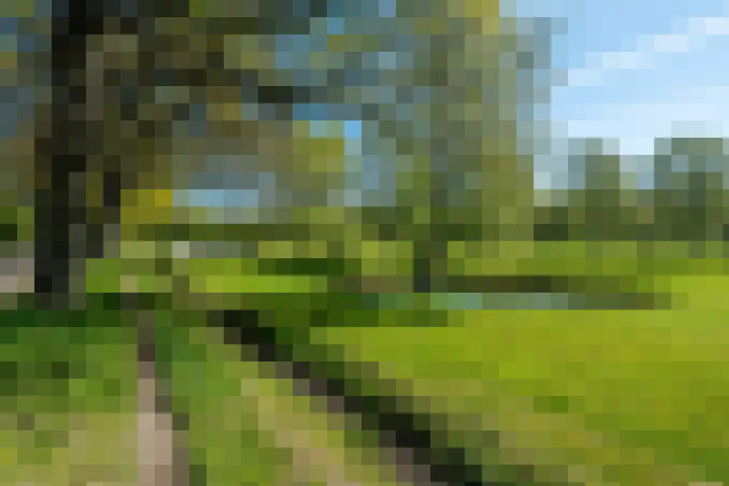 Beukenlaan 8 Oudemirdum thumbnail 8
