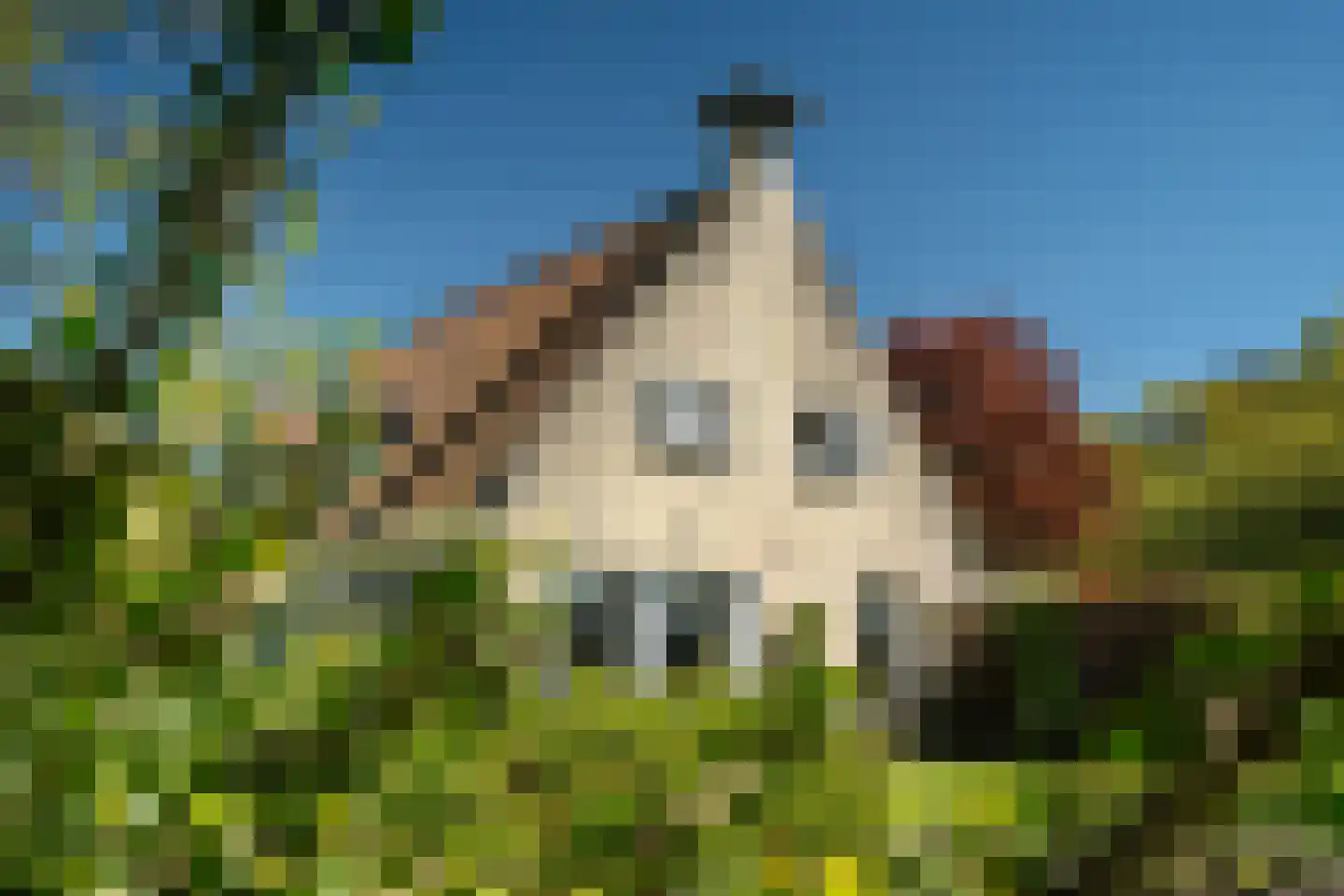 Beukenlaan 8 Oudemirdum thumbnail 80