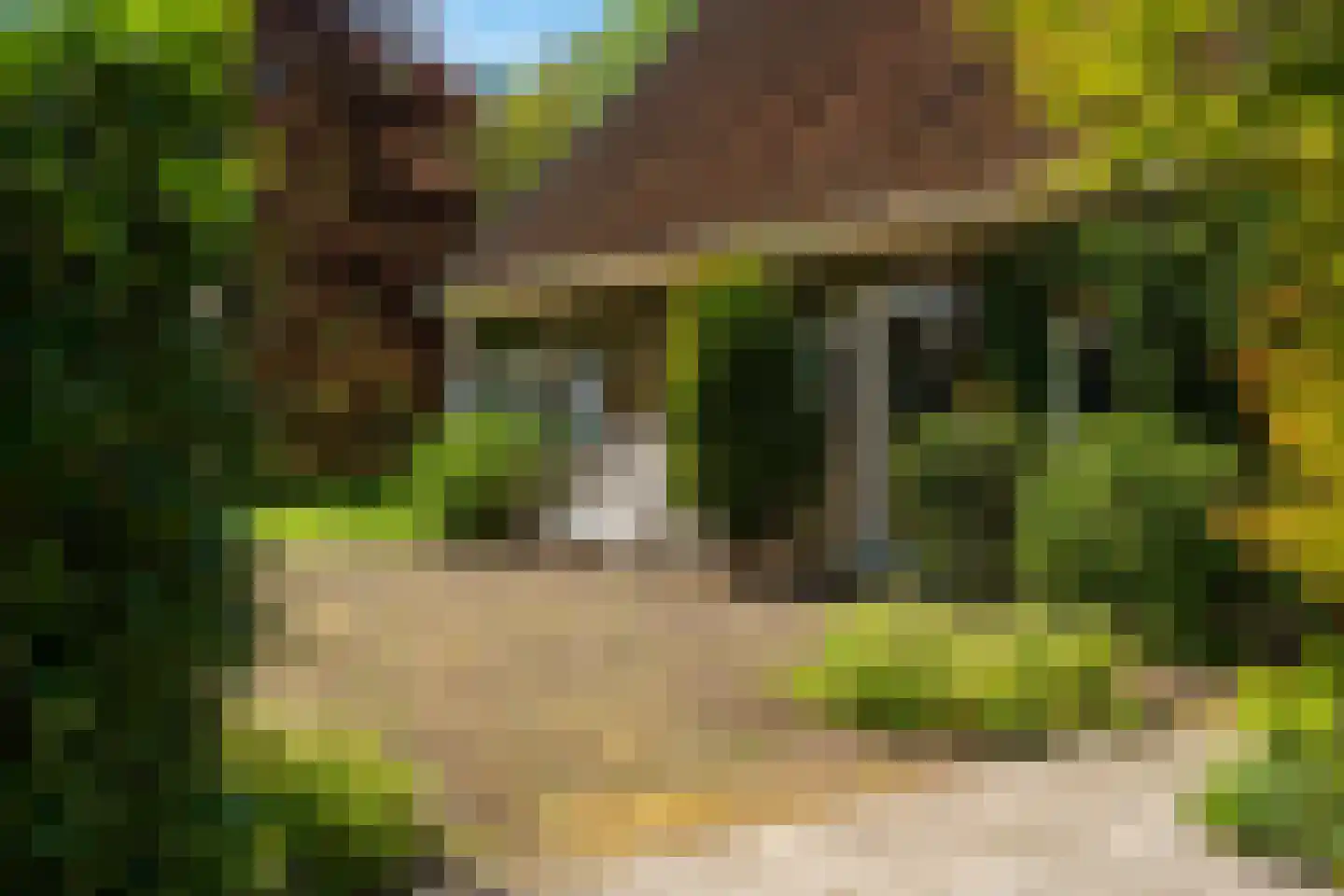 Beukenlaan 8 Oudemirdum thumbnail 81