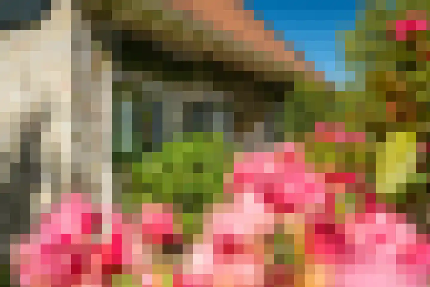 Beukenlaan 8 Oudemirdum thumbnail 83