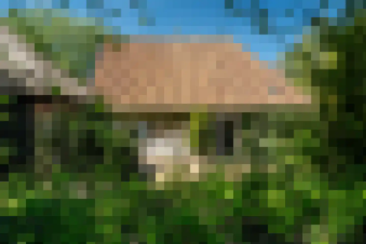 Beukenlaan 8 Oudemirdum thumbnail 84