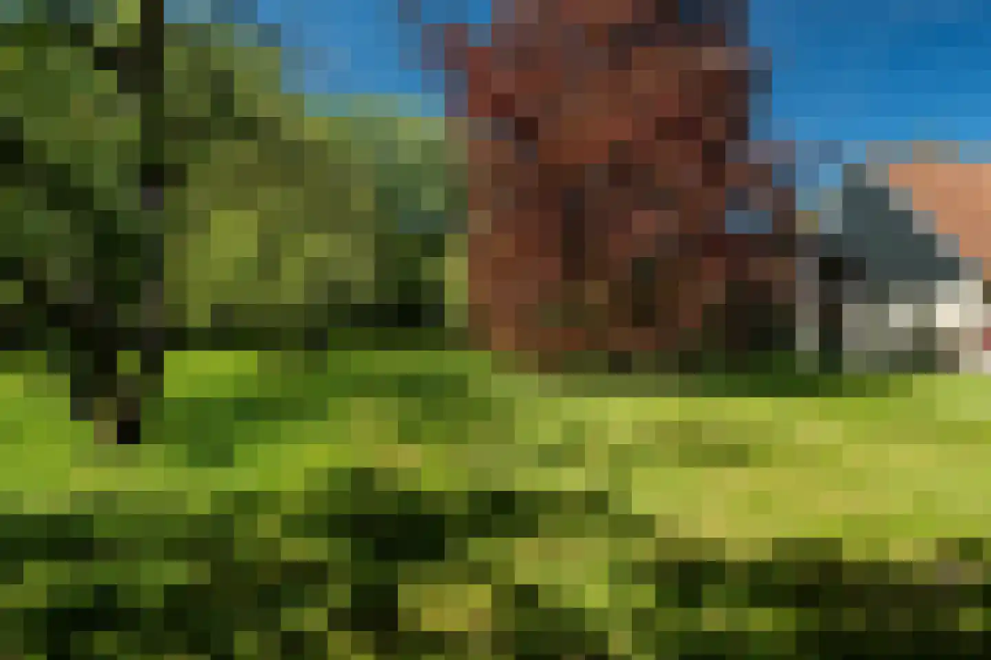 Beukenlaan 8 Oudemirdum thumbnail 85