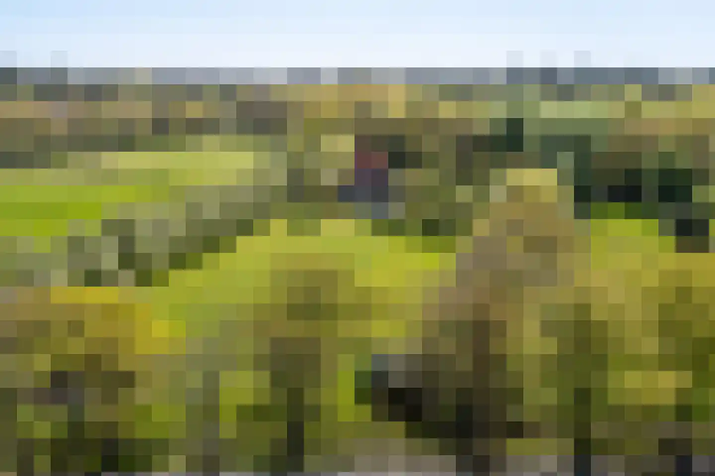 Beukenlaan 8 Oudemirdum thumbnail 86