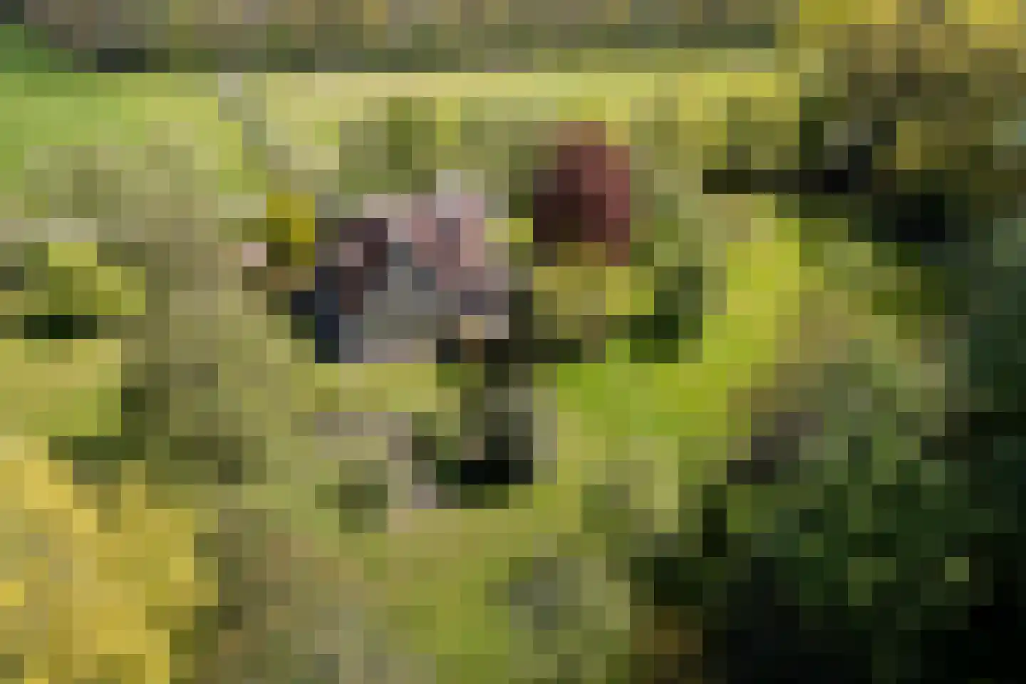 Beukenlaan 8 Oudemirdum thumbnail 87
