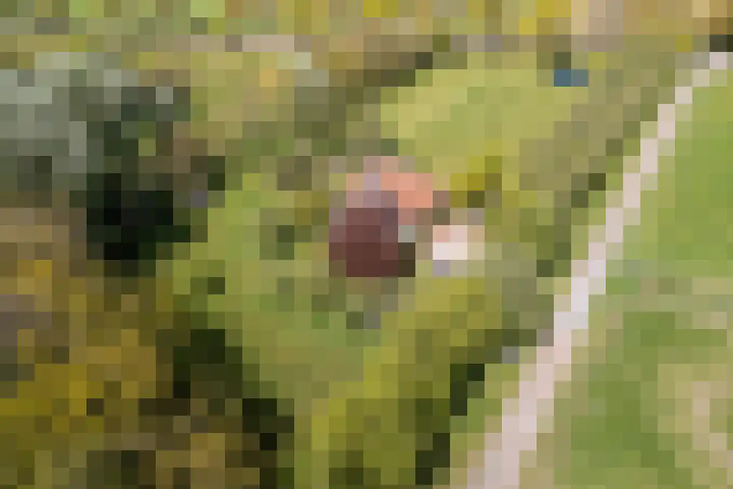 Beukenlaan 8 Oudemirdum thumbnail 88