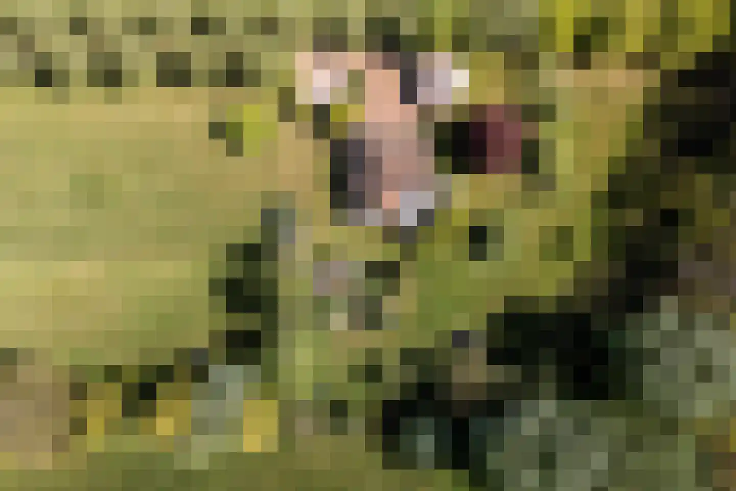 Beukenlaan 8 Oudemirdum thumbnail 89