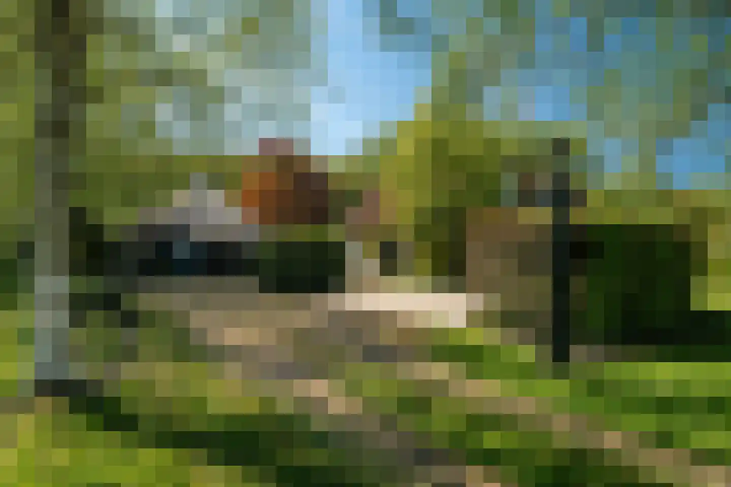 Beukenlaan 8 Oudemirdum thumbnail 9
