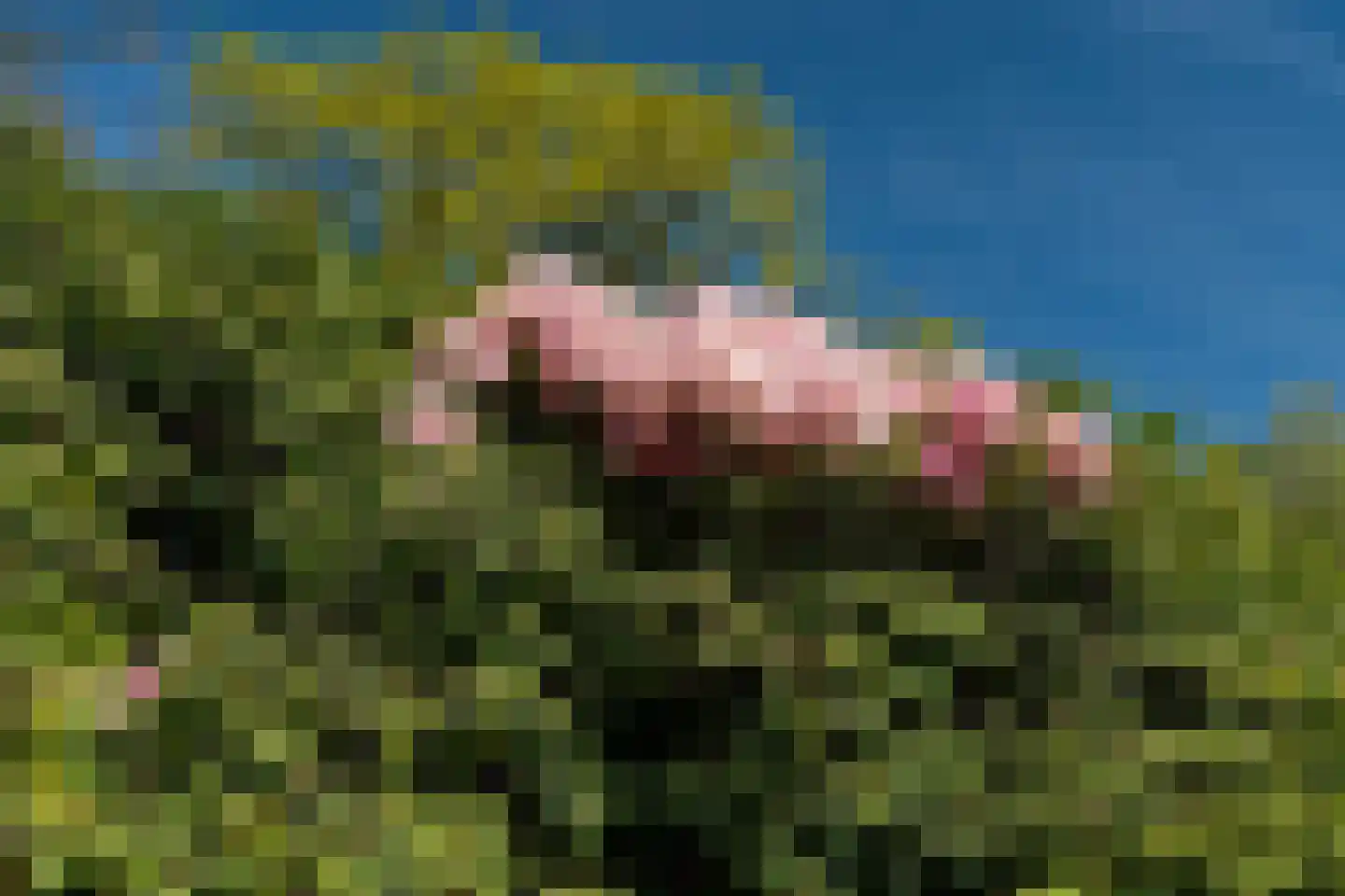 Beukenlaan 8 Oudemirdum thumbnail 92