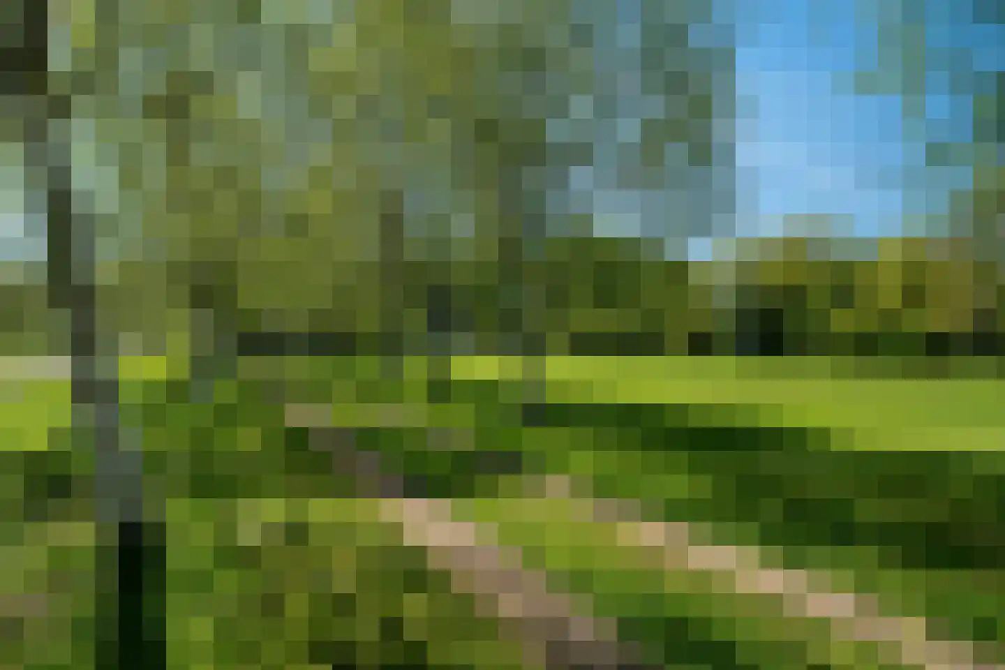 Beukenlaan 8 Oudemirdum thumbnail 93