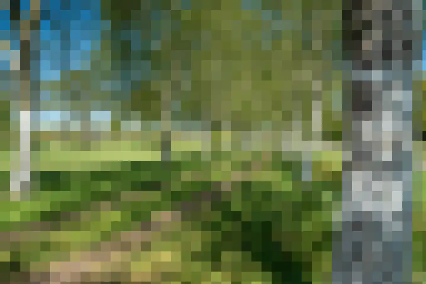 Beukenlaan 8 Oudemirdum thumbnail 94
