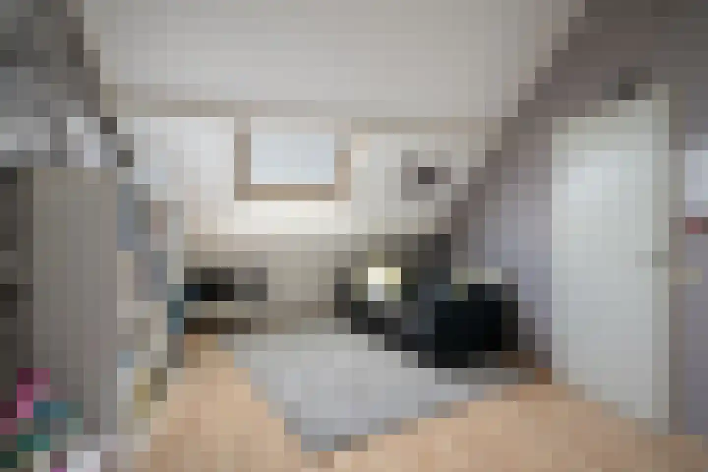 Beukenlaan 8 Papendrecht thumbnail 26