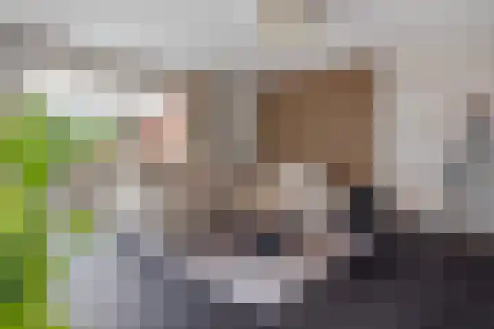 Beukenlaan 8 Reusel thumbnail 12