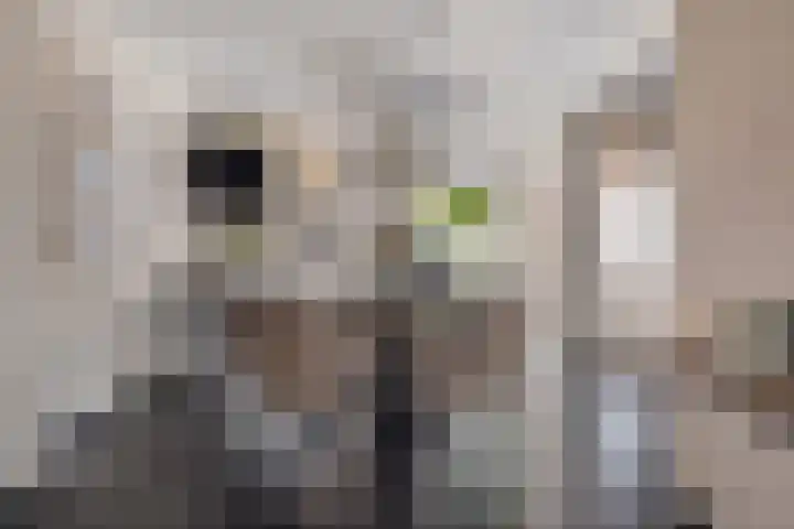 Beukenlaan 8 Reusel thumbnail 15