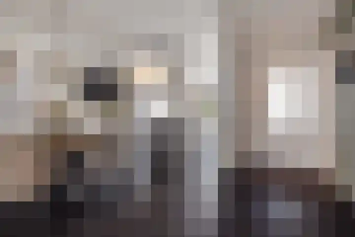Beukenlaan 8 Reusel thumbnail 18