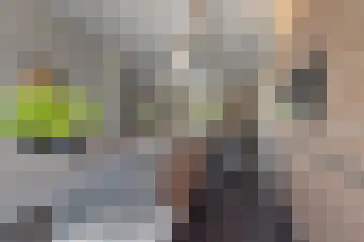 Beukenlaan 8 Reusel thumbnail 21