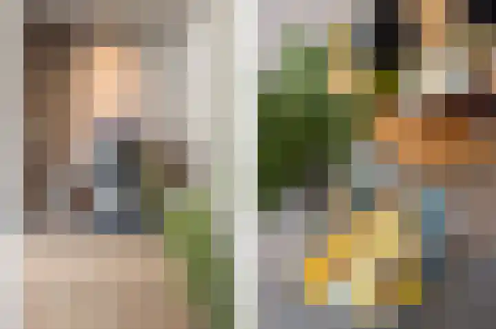 Beukenlaan 8 Reusel thumbnail 22