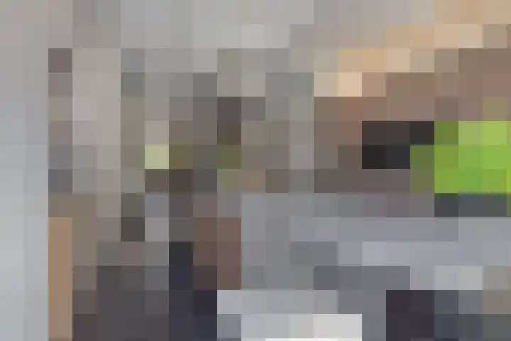 Beukenlaan 8 Reusel thumbnail 23