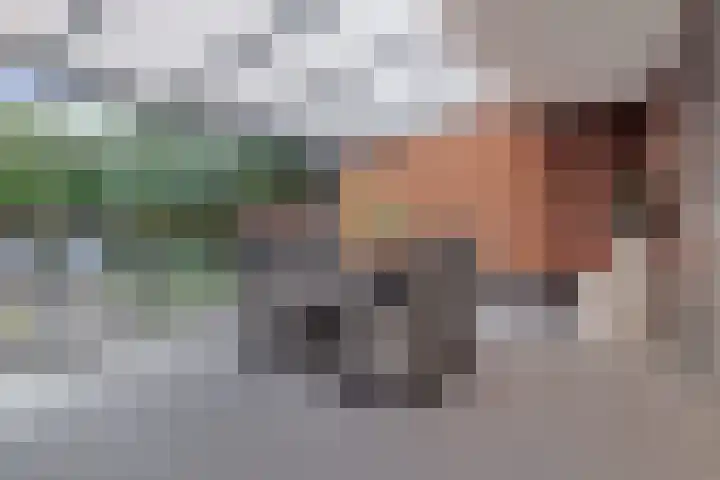 Beukenlaan 8 Reusel thumbnail 26