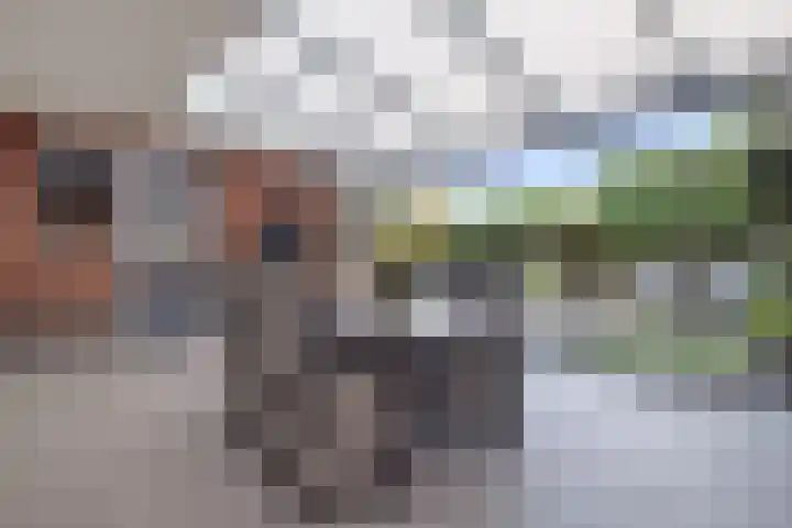Beukenlaan 8 Reusel thumbnail 27