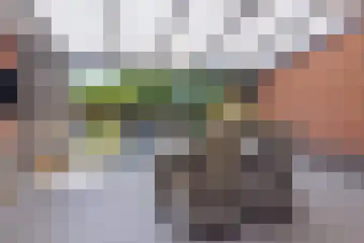Beukenlaan 8 Reusel thumbnail 28