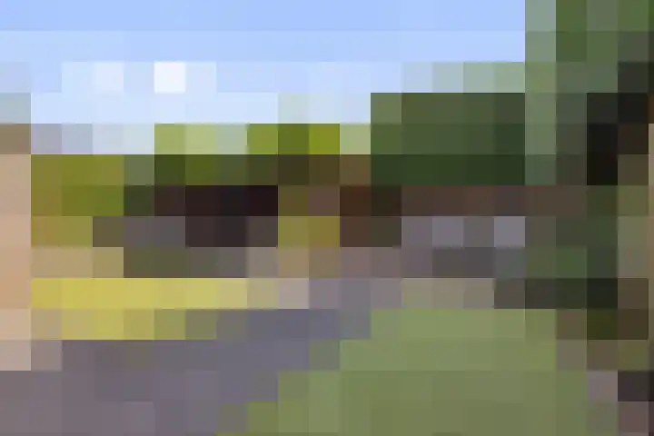 Beukenlaan 8 Reusel thumbnail 29