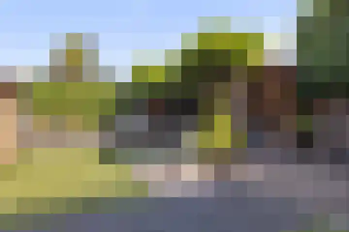 Beukenlaan 8 Reusel thumbnail 30