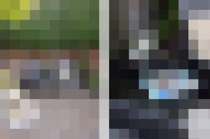 Beukenlaan 8 Reusel thumbnail 31