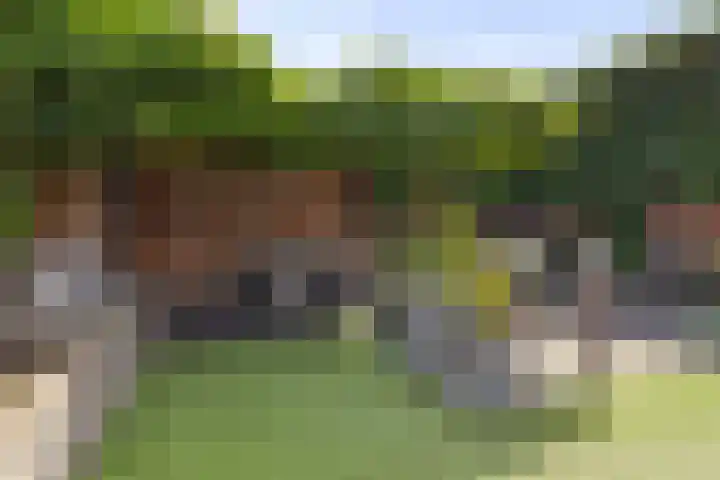 Beukenlaan 8 Reusel thumbnail 32