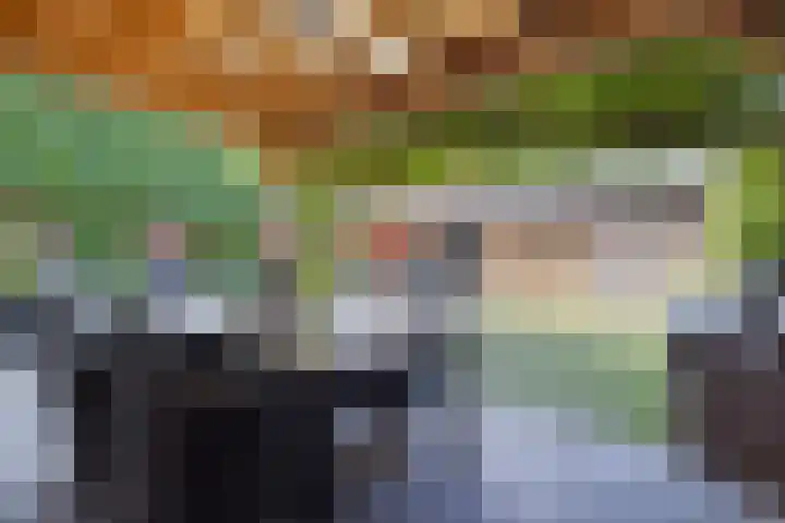 Beukenlaan 8 Reusel thumbnail 33