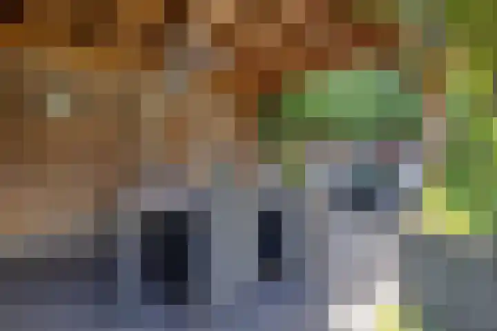 Beukenlaan 8 Reusel thumbnail 34
