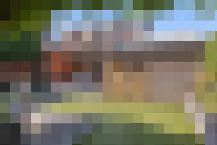 Beukenlaan 8 Reusel thumbnail 36