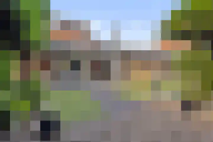 Beukenlaan 8 Reusel thumbnail 4