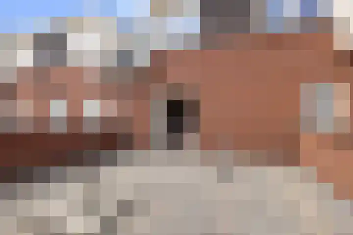 Beukenlaan 8 Reusel thumbnail 46