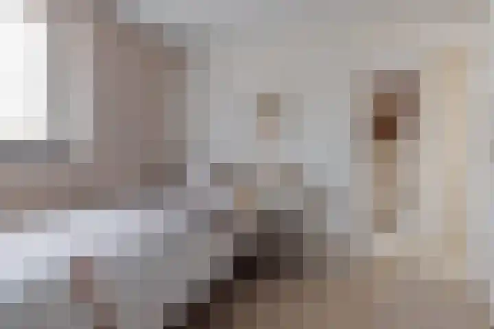Beukenlaan 8 Reusel thumbnail 48