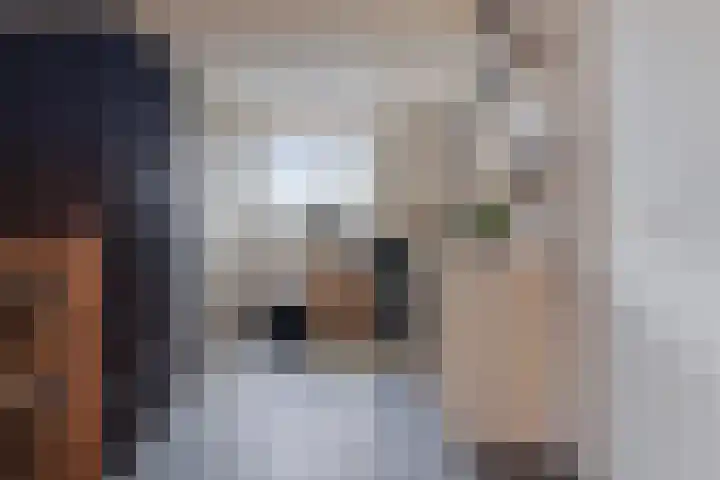 Beukenlaan 8 Reusel thumbnail 53