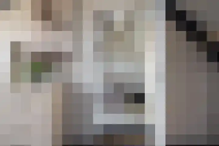 Beukenlaan 8 Reusel thumbnail 54
