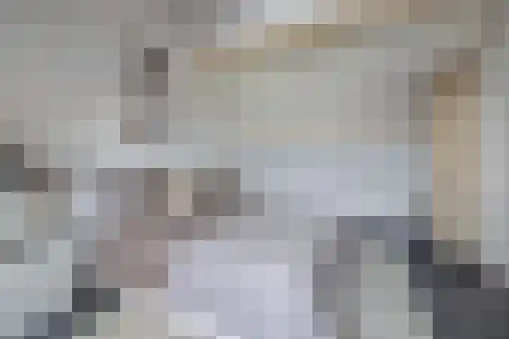 Beukenlaan 8 Reusel thumbnail 57
