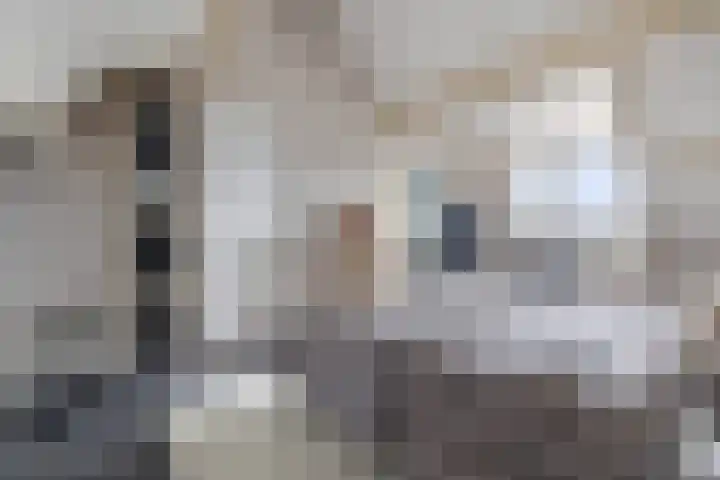 Beukenlaan 8 Reusel thumbnail 58