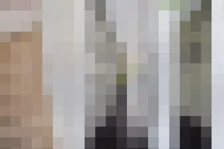 Beukenlaan 8 Reusel thumbnail 8
