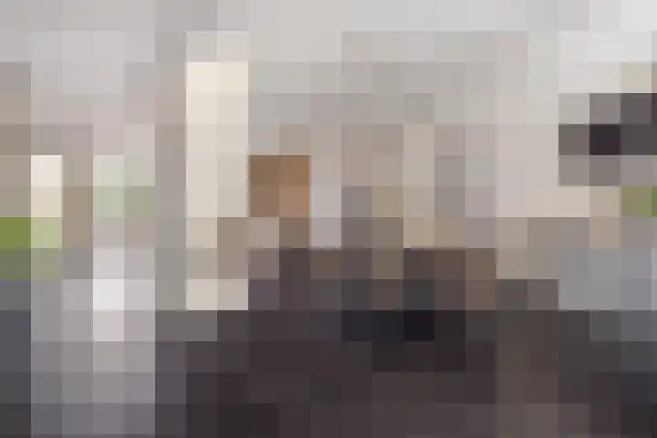 Beukenlaan 8 Reusel thumbnail 9