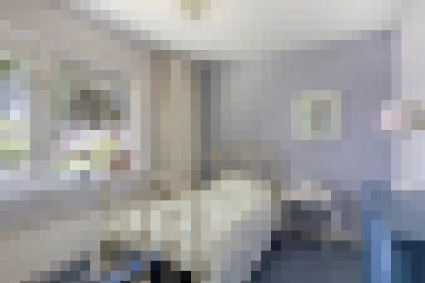 Beukenlaan 8 Rhenen thumbnail 20