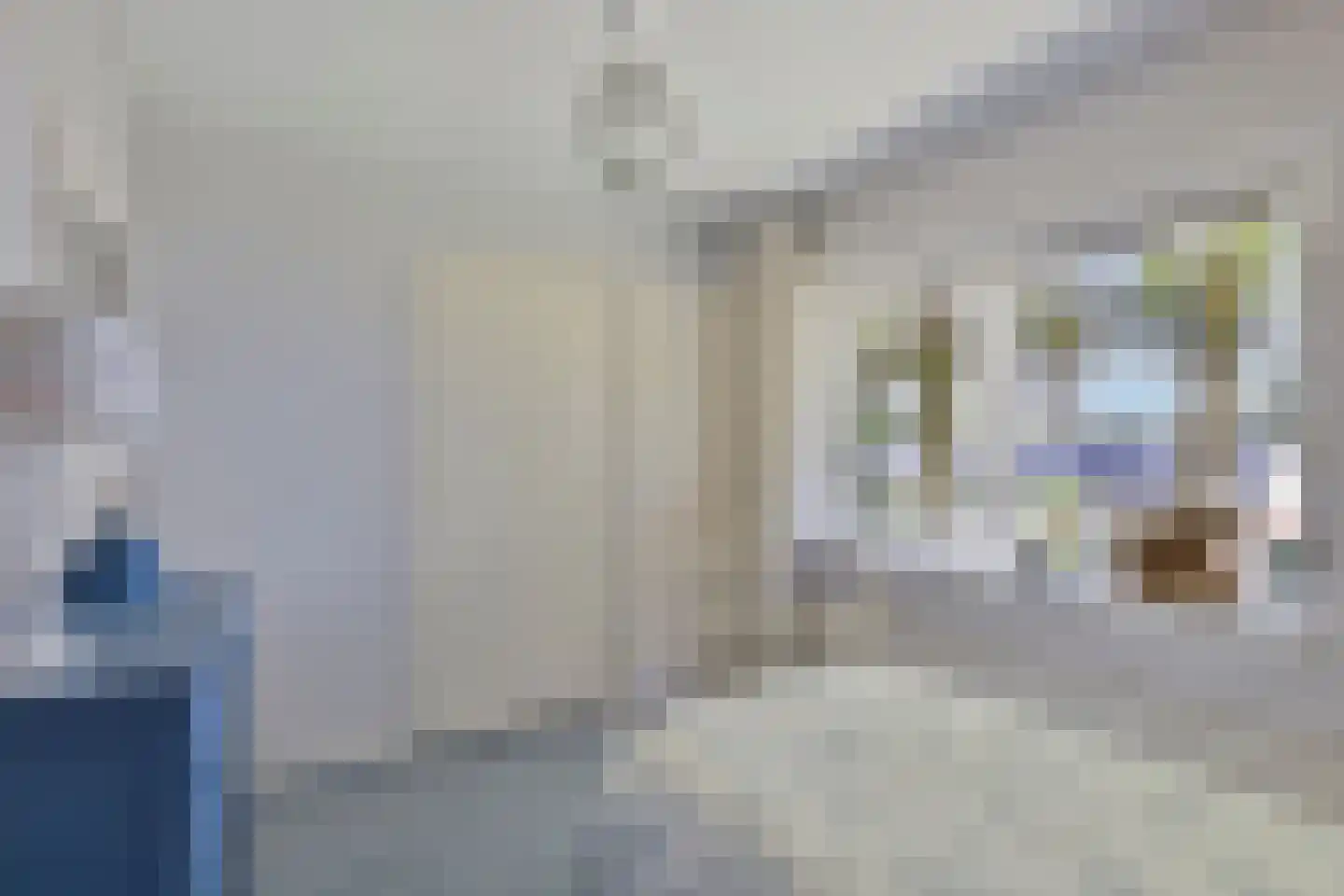 Beukenlaan 8 Rhenen thumbnail 21