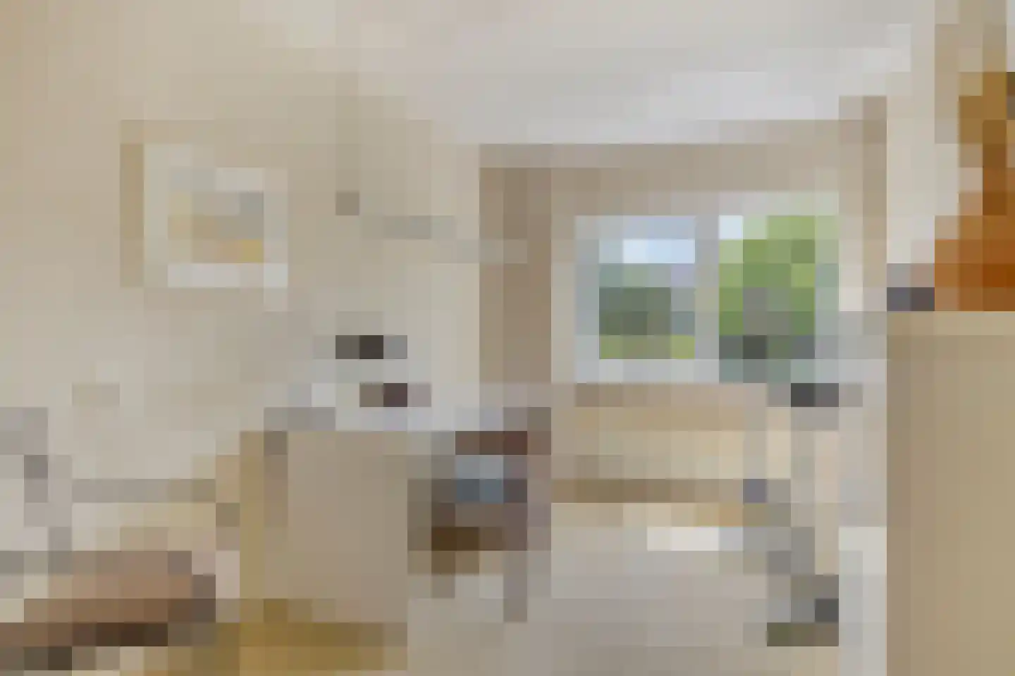 Beukenlaan 8 Rhenen thumbnail 22