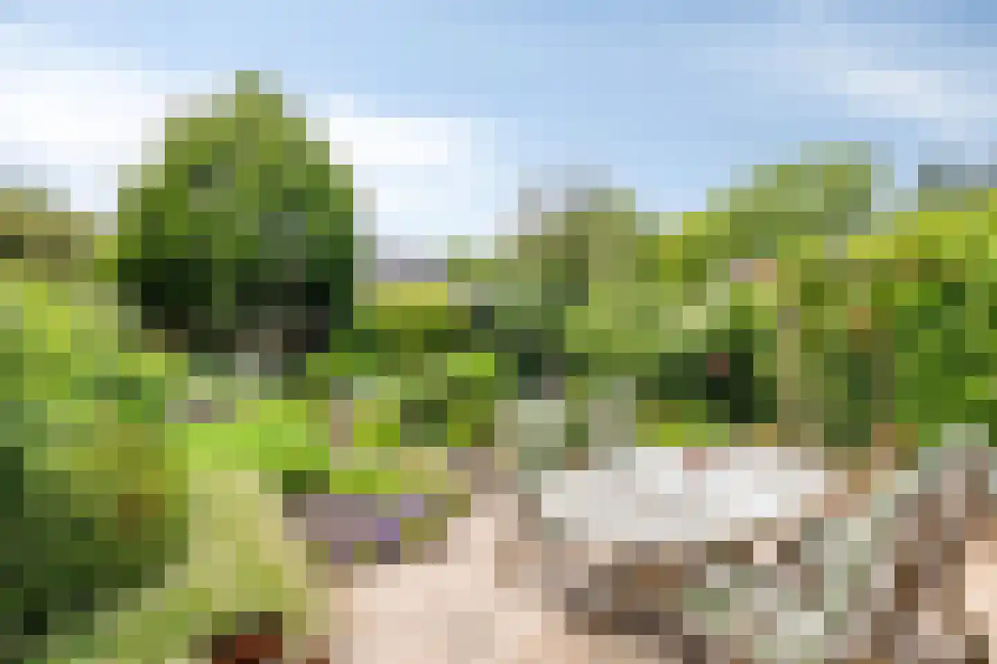 Beukenlaan 8 Rhenen thumbnail 28