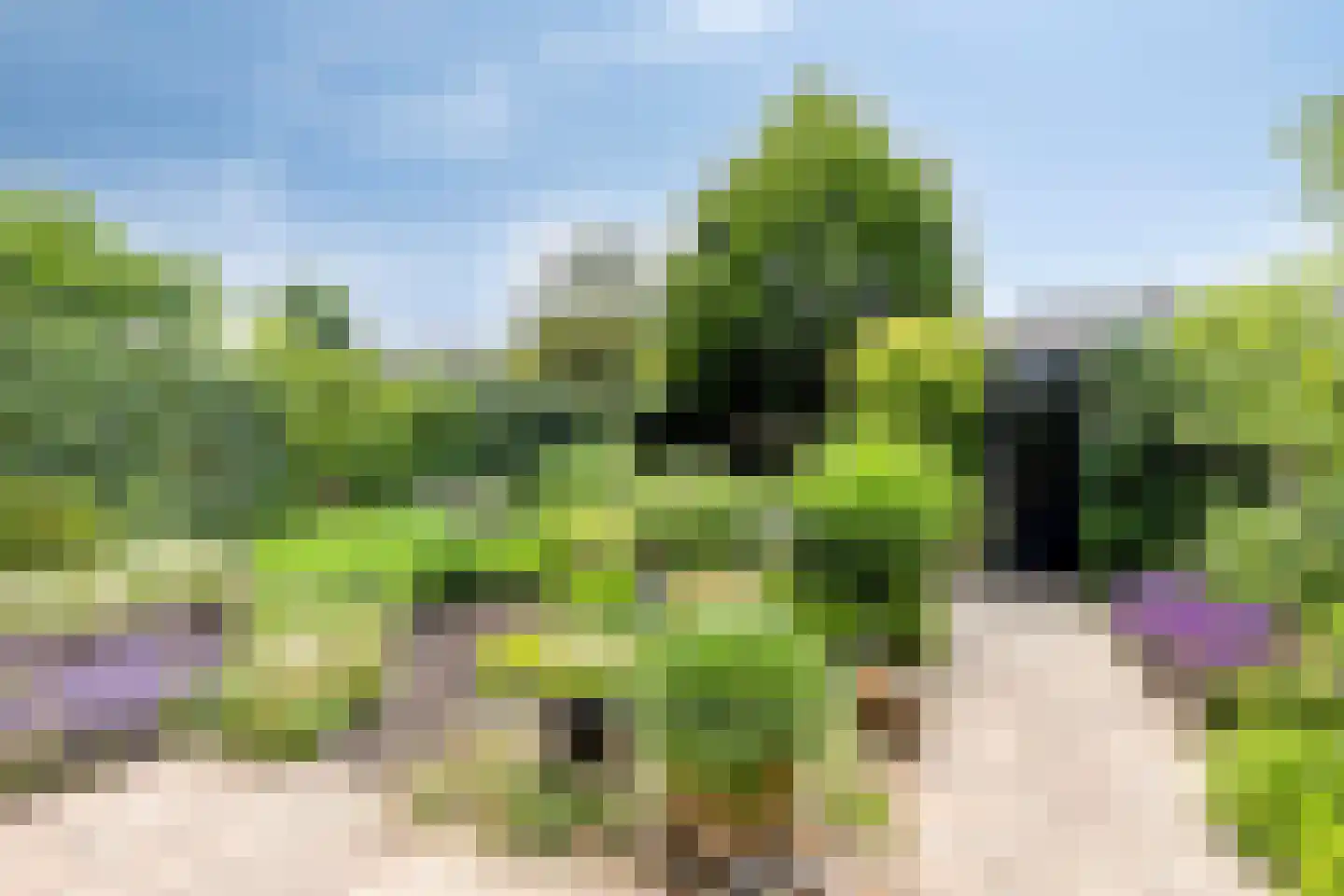 Beukenlaan 8 Rhenen thumbnail 29
