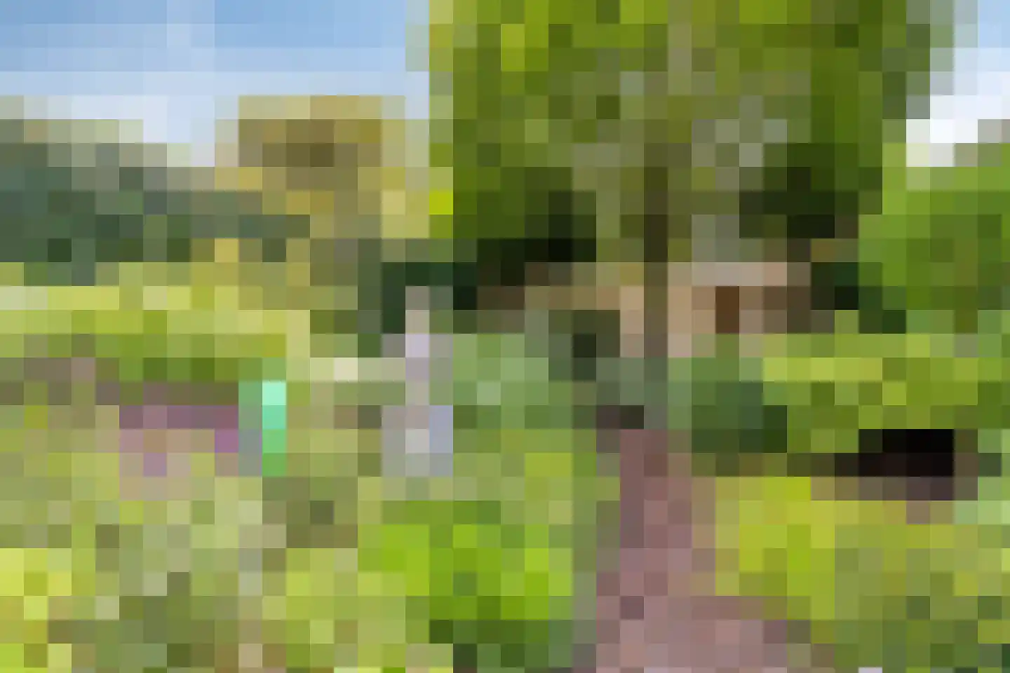 Beukenlaan 8 Rhenen thumbnail 31