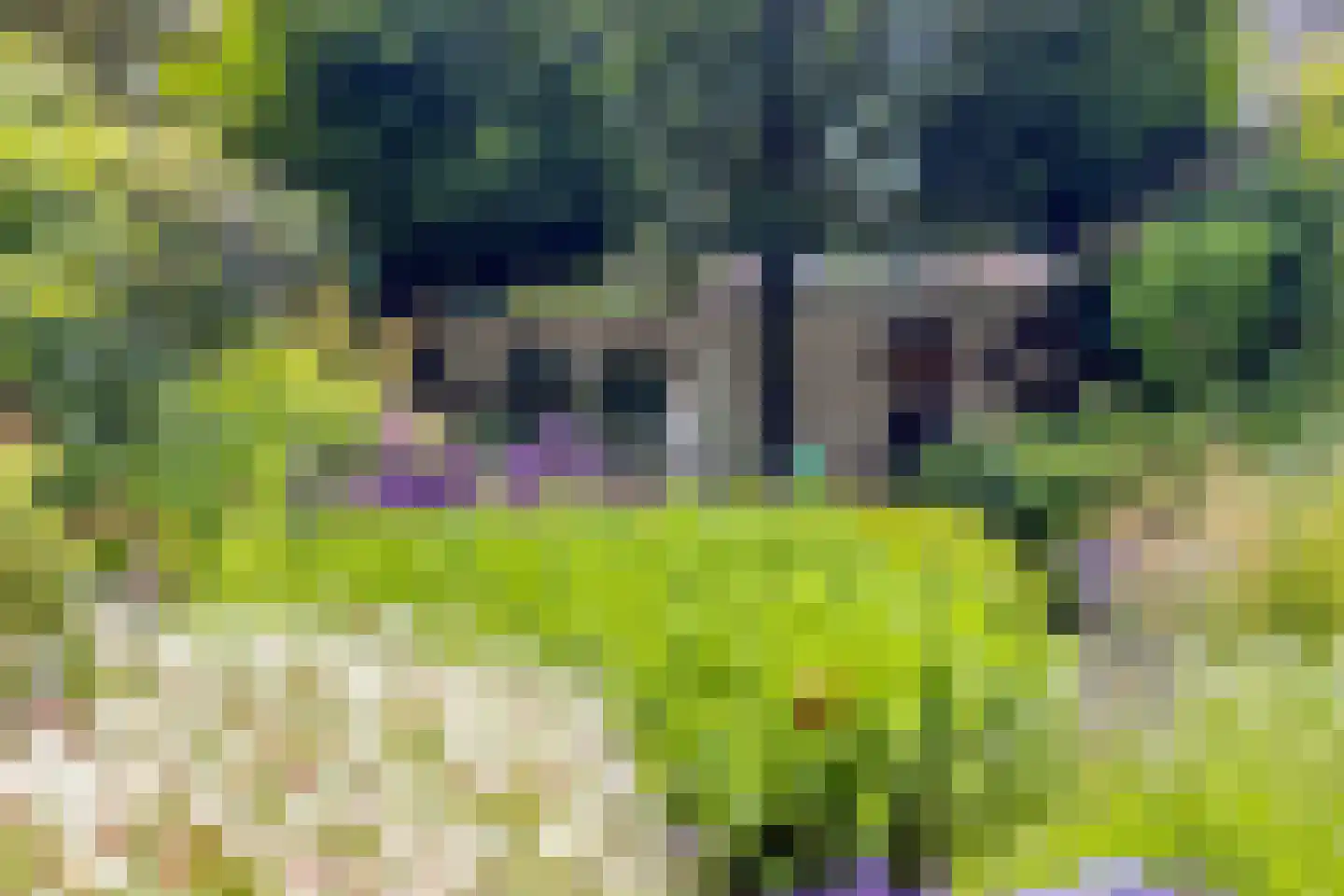 Beukenlaan 8 Rhenen thumbnail 33